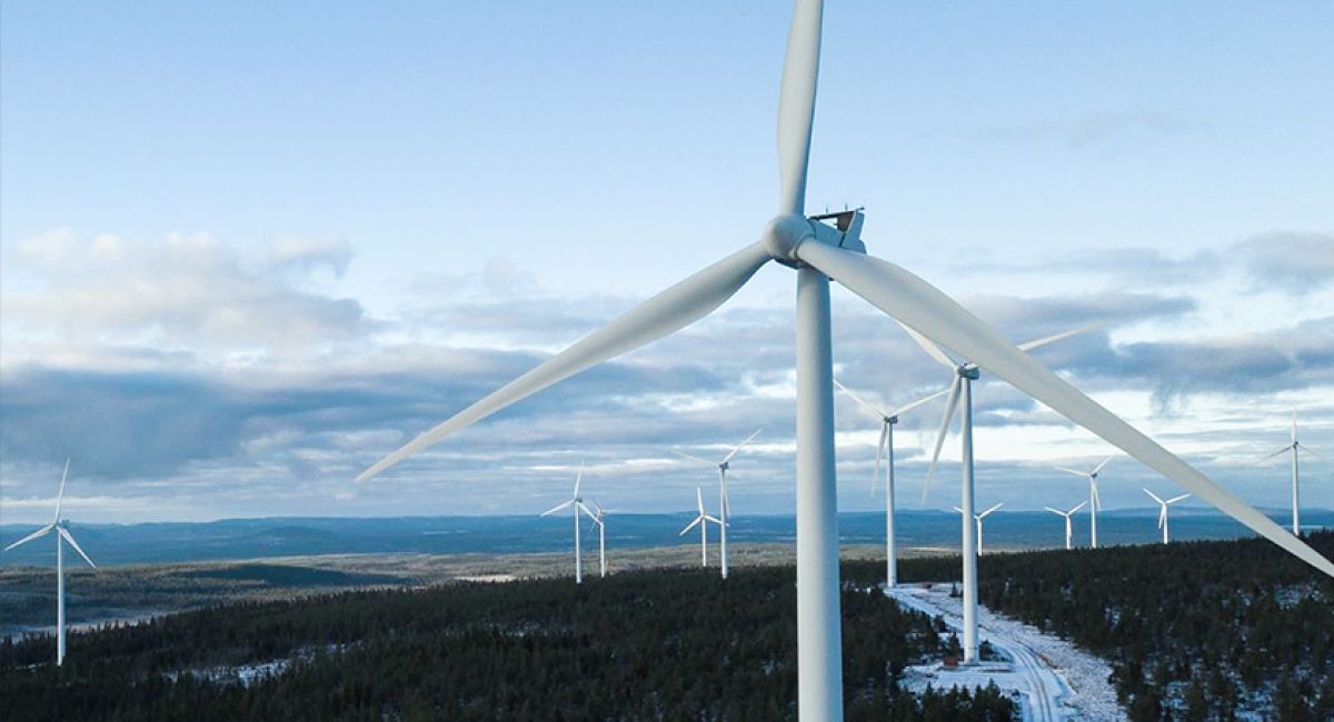 parque eólico de Bruzaholm