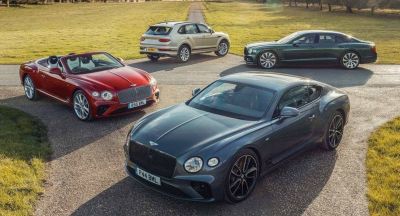 Bentley apoya la restauración de bosques de algas marinas en California