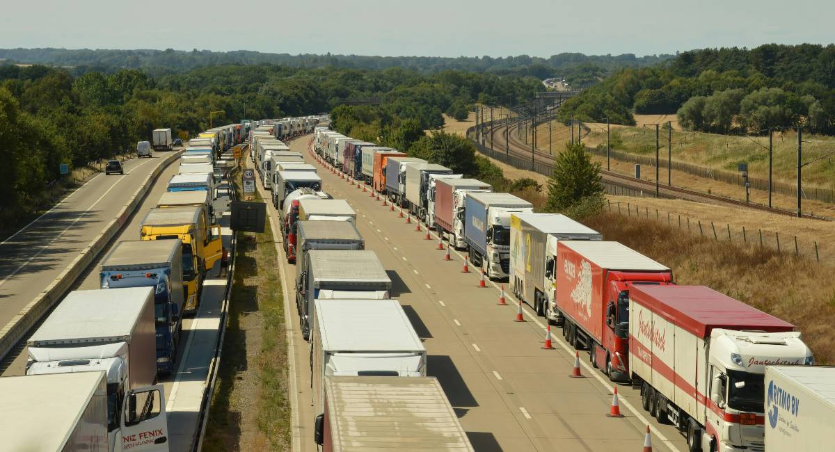 ¿Cuáles son las marcas que lideran las ventas en el segmento de vehículos pesados?