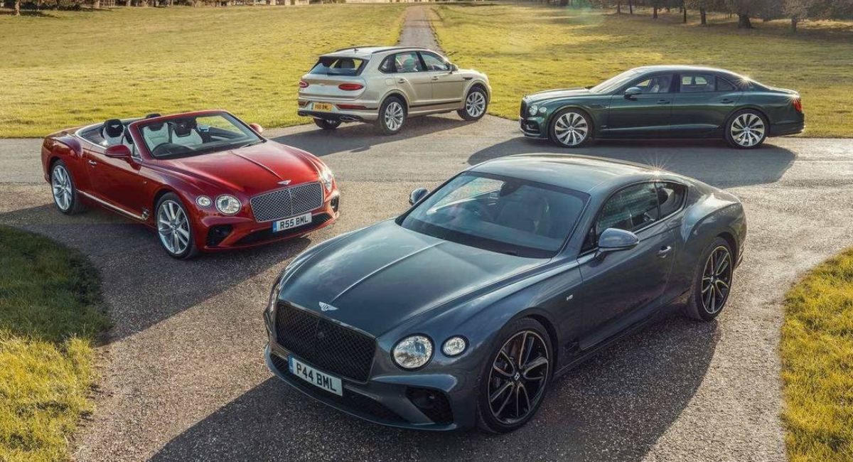 Bentley apoya la restauración de bosques de algas marinas en California