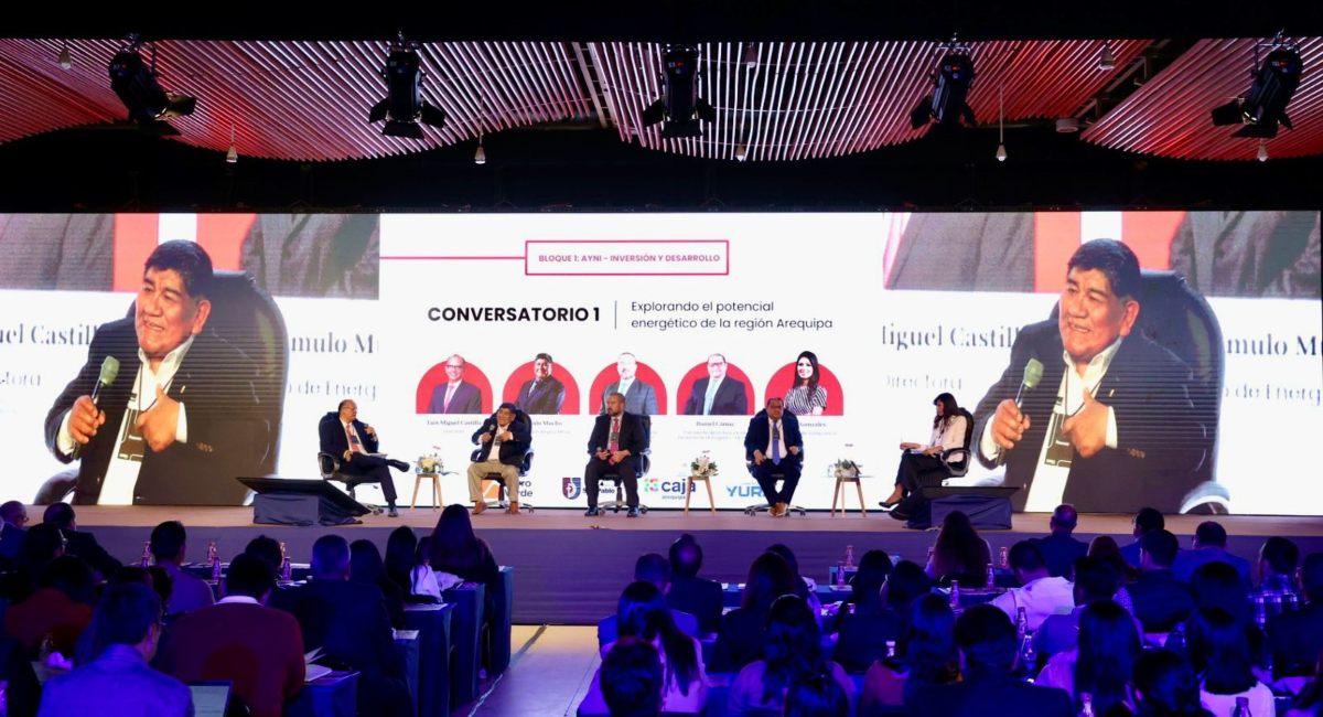 Ministro: Perú tiene condiciones para generar energía de todas las fuentes